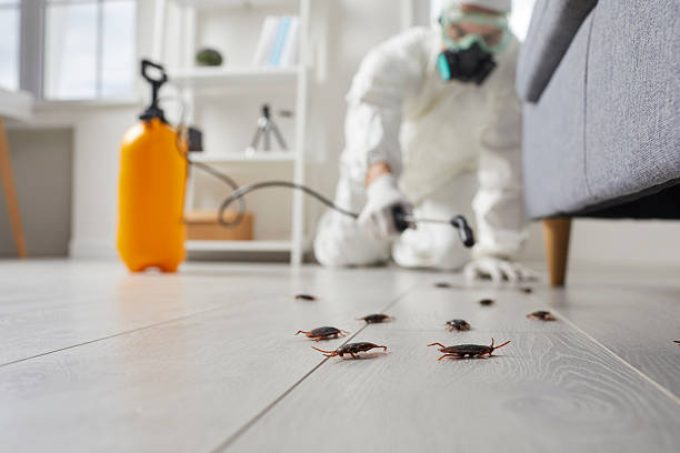 Commercial Kitchen Cockroach Control in New Milford
